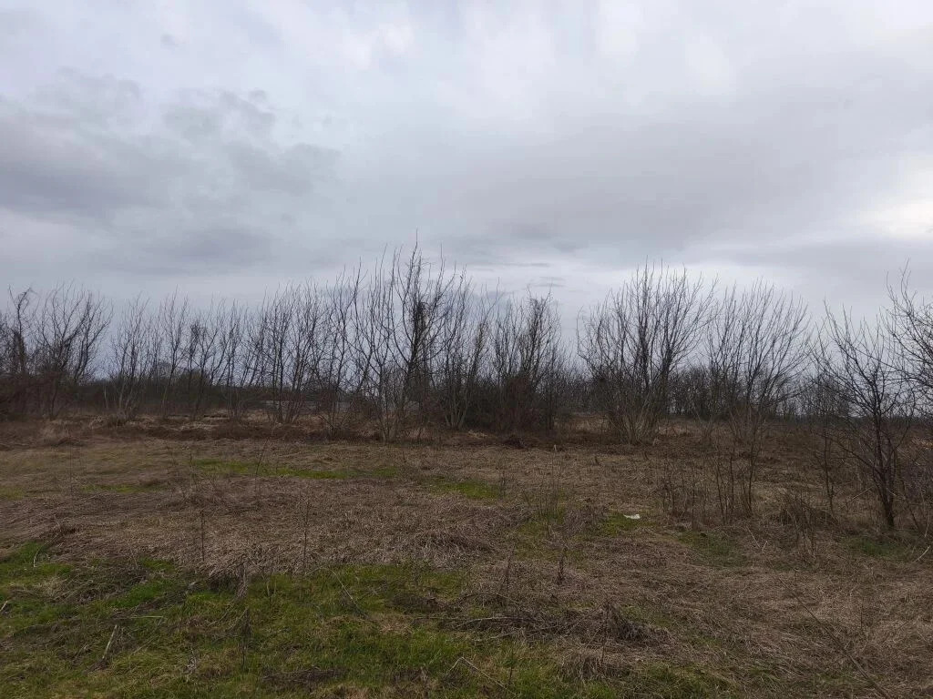 Продажа участка, Львовское, Северский район, ул. Орджоникидзе - Фото 2