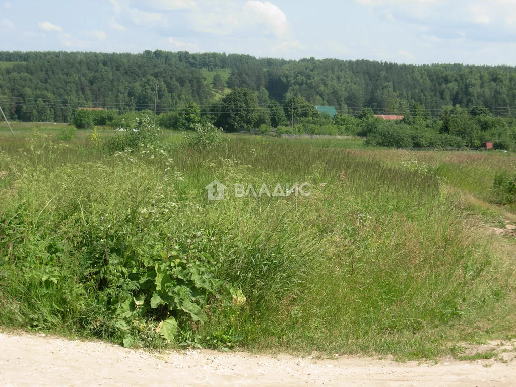 Судогодский район, деревня Кудрявцево,  земля на продажу - Фото 3