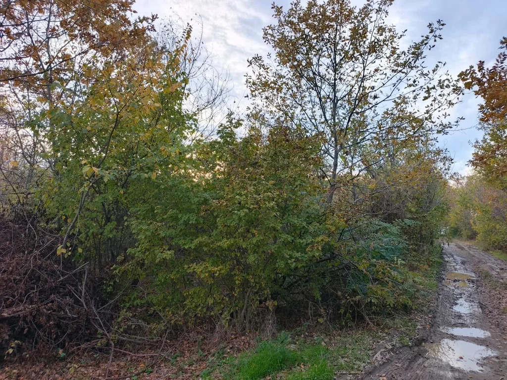 Продажа участка, Северский район - Фото 3