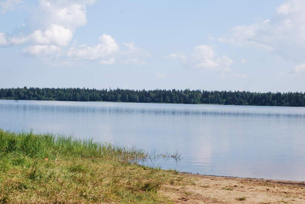 Озеро Ройка: популярное место для рыбной ловли в Ленинградской области