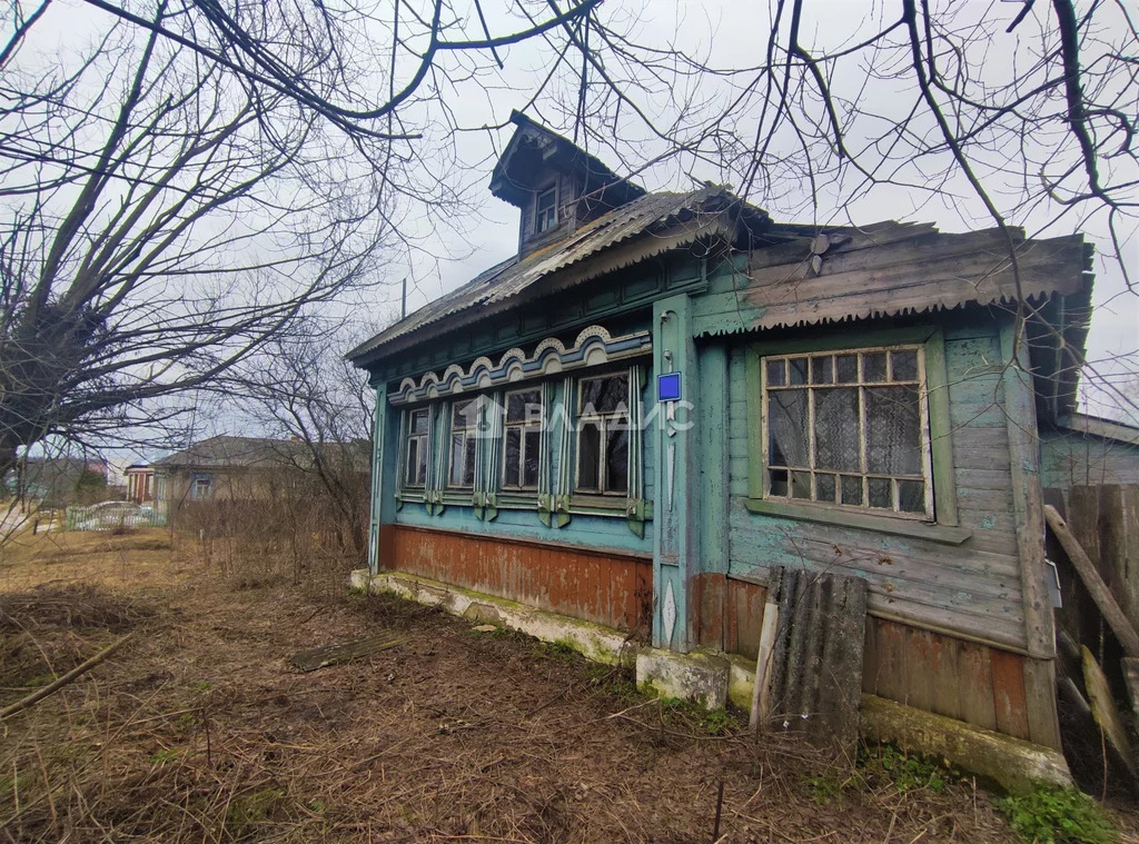 Судогодский район, деревня Райки, дом на продажу - Фото 1