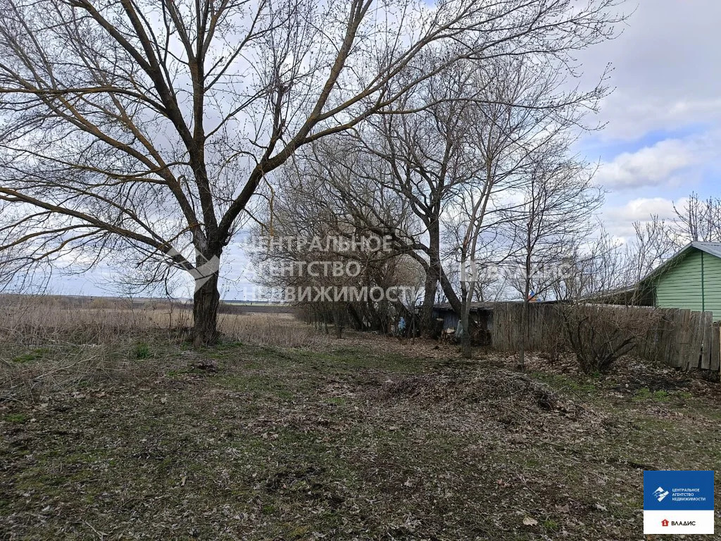 Продажа участка, Гагино, Пронский район, ул. Большая - Фото 2
