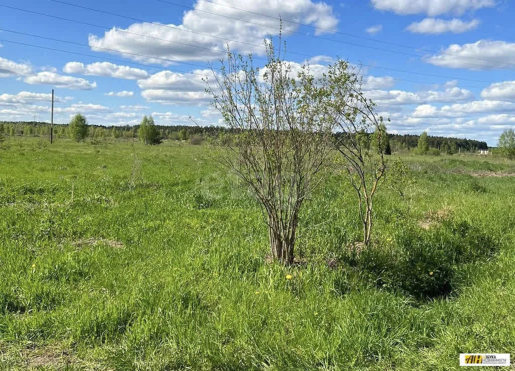 Продажа участка, Богородский г. о., СНТ Мир - Фото 3