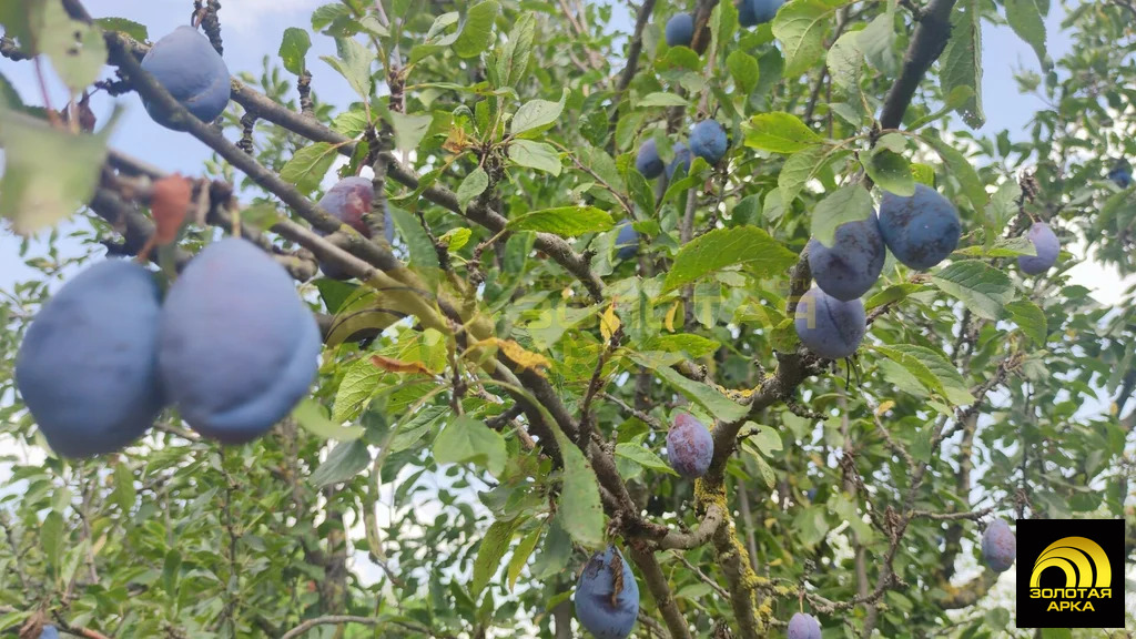 Продажа участка, Новоукраинский, Крымский район, ул. Лермонтова - Фото 8