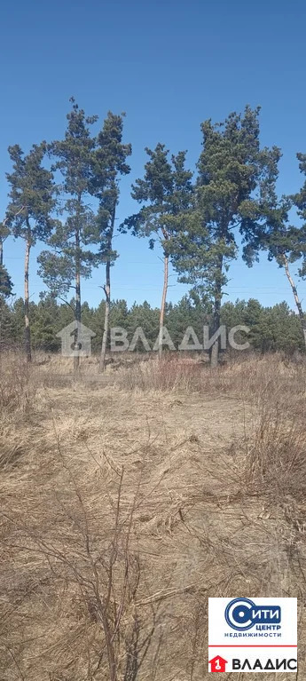 Продажа участка, Рождественская Хава, Новоусманский район, ул. Лесная - Фото 2