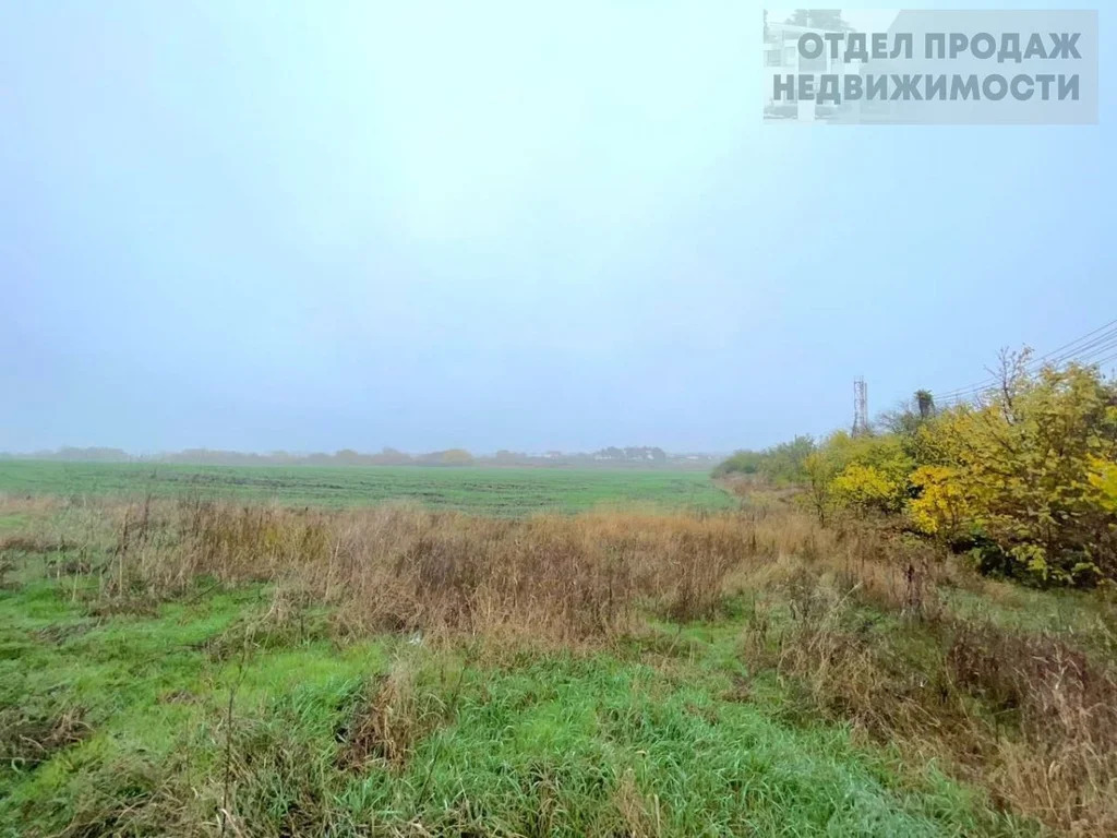 Большой участок - Фото 6