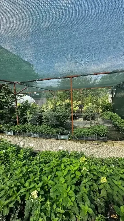 Продажа дома, Минеральные Воды, 1Озерная ул. - Фото 16