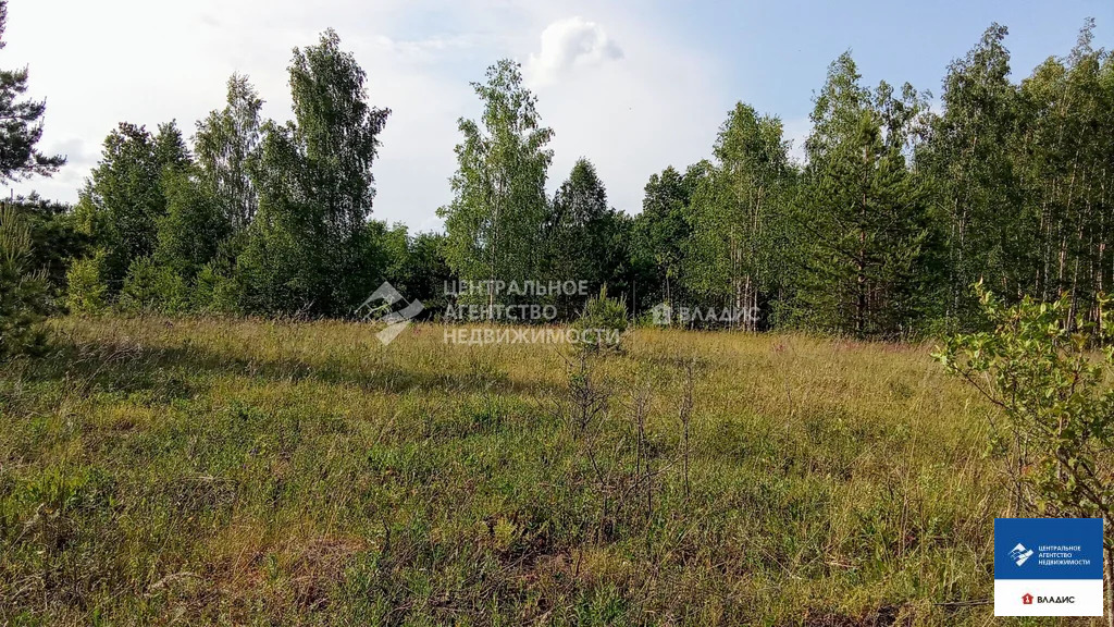 Продажа участка, Рязанский район, садоводческое товарищество ... - Фото 8