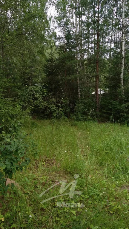Продажа участка, Наро-Фоминск, Наро-Фоминский район, 114 - Фото 6
