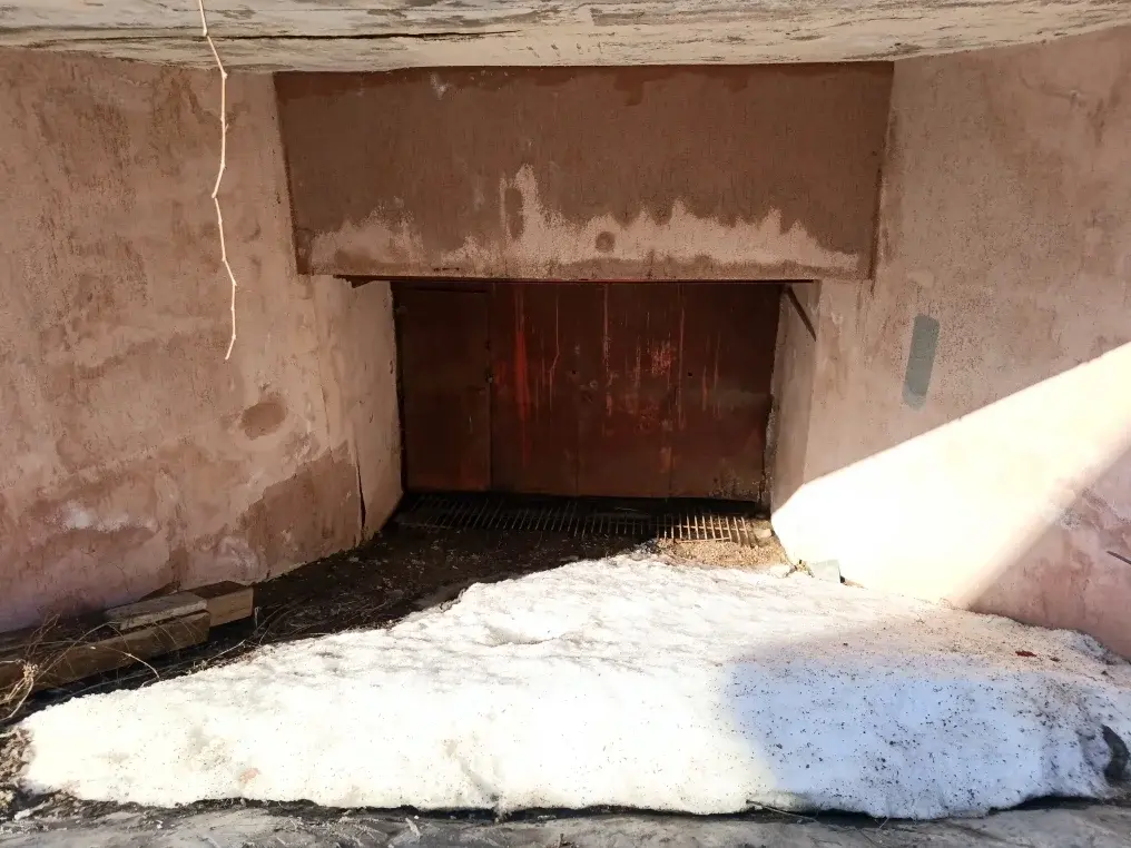 Продаю 1/2 дма в СНТ Горицвет - Фото 17