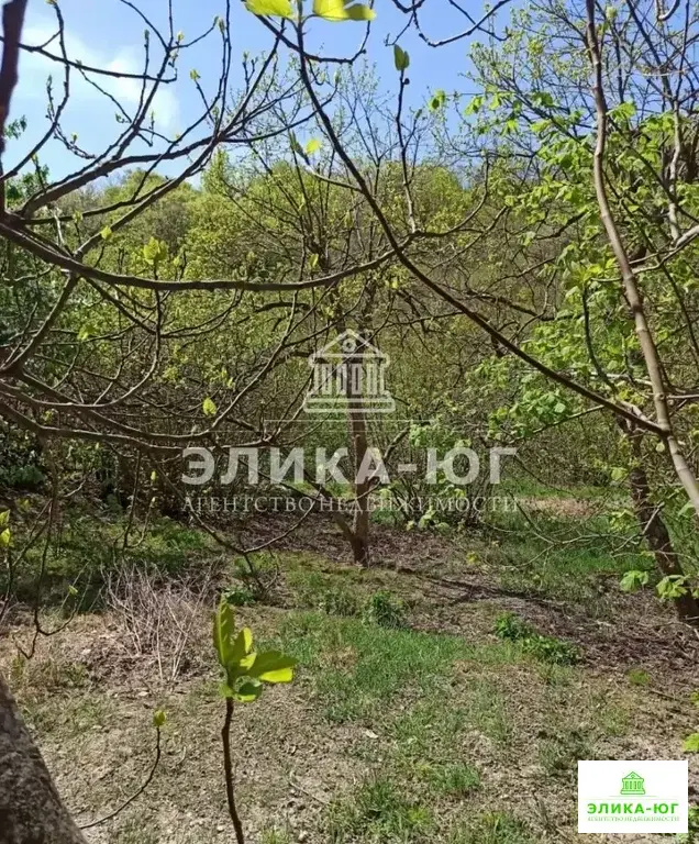 Продажа участка, Пляхо, Туапсинский район, ул. Лесная - Фото 9