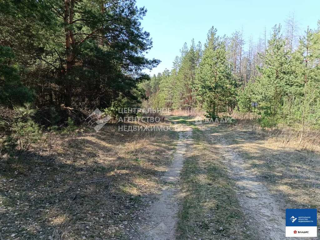 Продажа участка, Спасский район, садоводческое товарищество Луч-1 - Фото 0