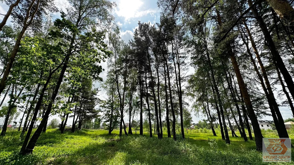 Продажа участка, Раменское, Раменский район - Фото 2