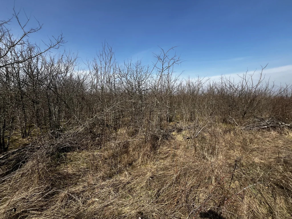 Продажа участка, Калужская, Северский район, улица Зеленая - Фото 7