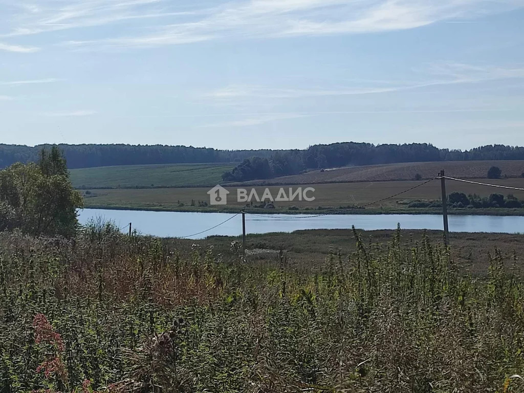 Собинский район, деревня Курилово, земля на продажу - Фото 0