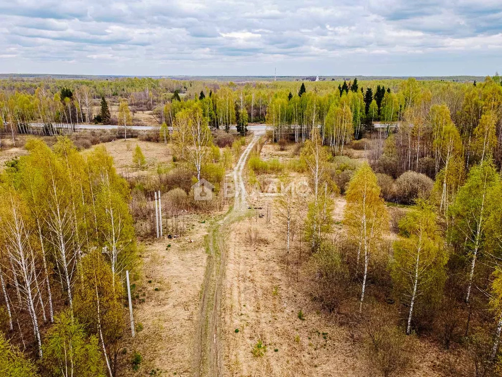 Судогодский район, деревня Кощеево, земля на продажу - Фото 21