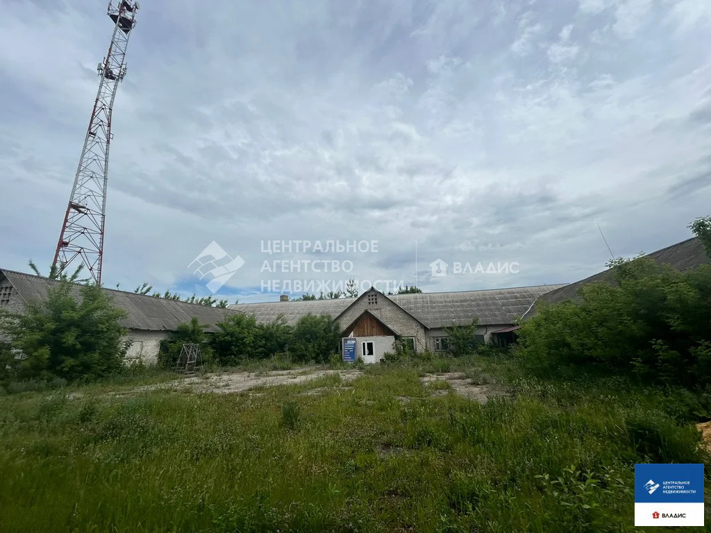 Продажа ПСН, Сасово, ул. Шацкая - Фото 7