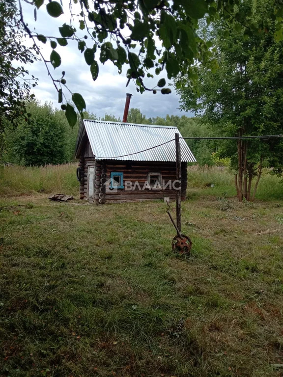 Собинский муниципальный округ, деревня Большие Острова,  дом на ... - Фото 10