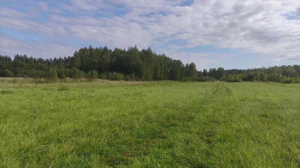 Гектары вдоль Ленинградки в 110 км. от МКАД - инвестиции или бизнес - Фото 5