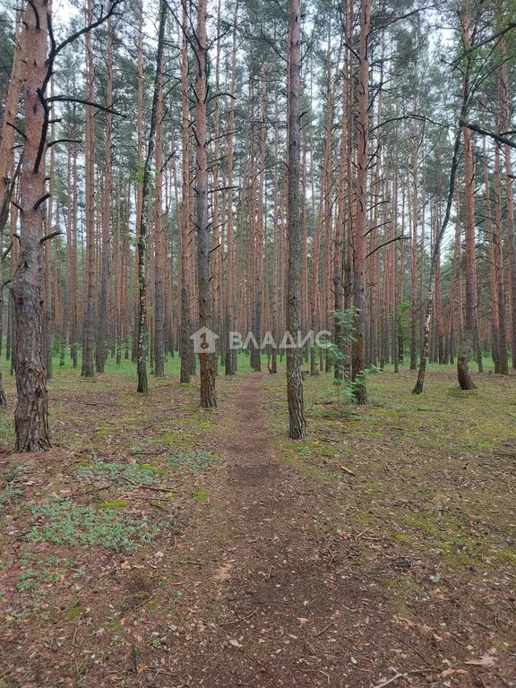 городской округ Владимир, посёлок Заклязьменский, Зелёная улица, д.2, ... - Фото 23