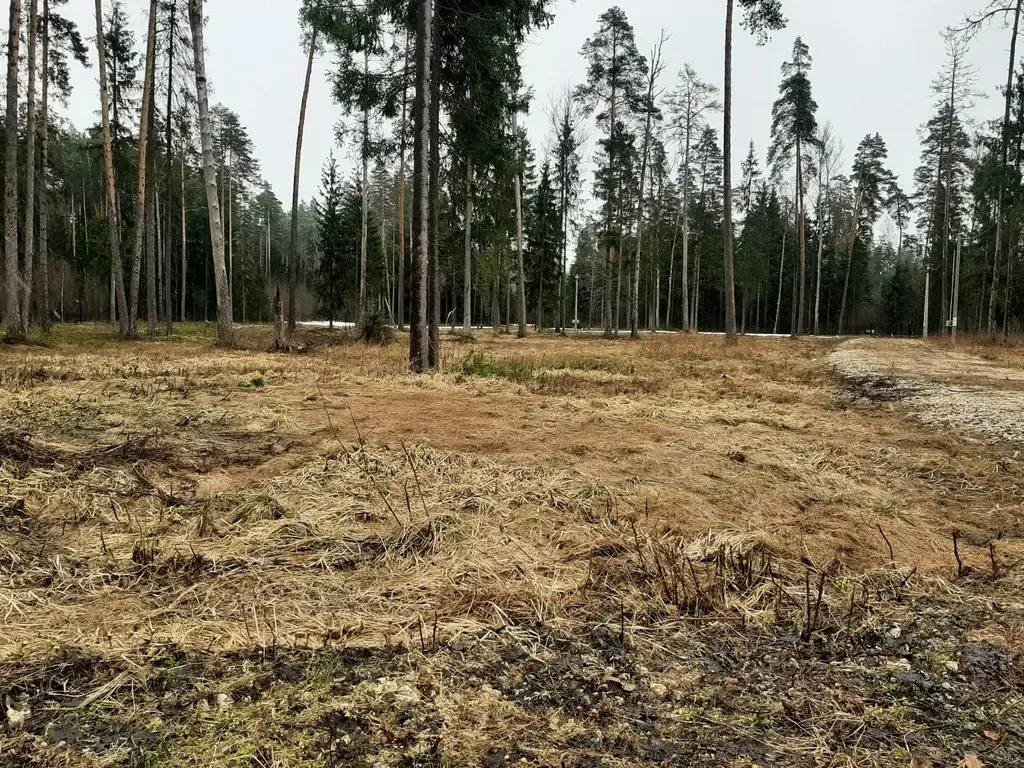 Продам участок ИЖС 13.74 сот. в с. Ивановское - Фото 11