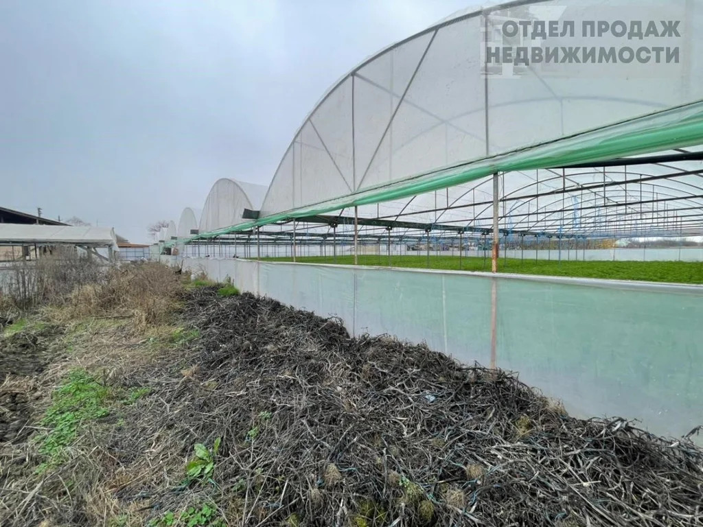 Участок с готовым бизнесом - Фото 4