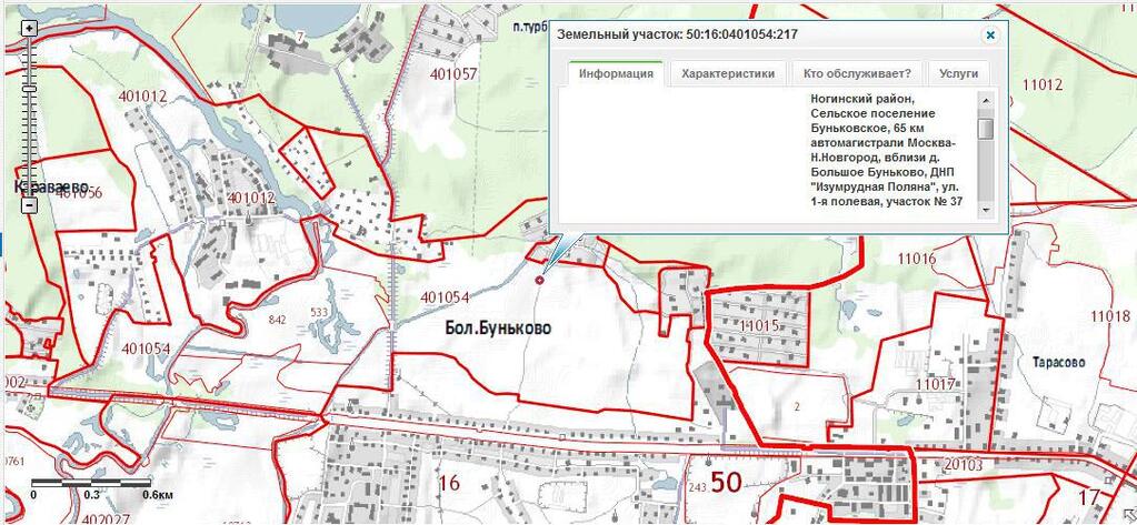 Большое буньково ногинский московская область