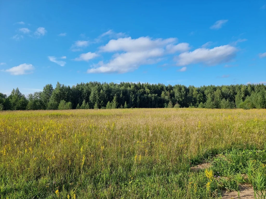 Продажа участка, Озерки, Всеволожский район - Фото 8