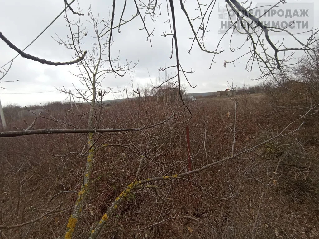 Участок - Фото 8