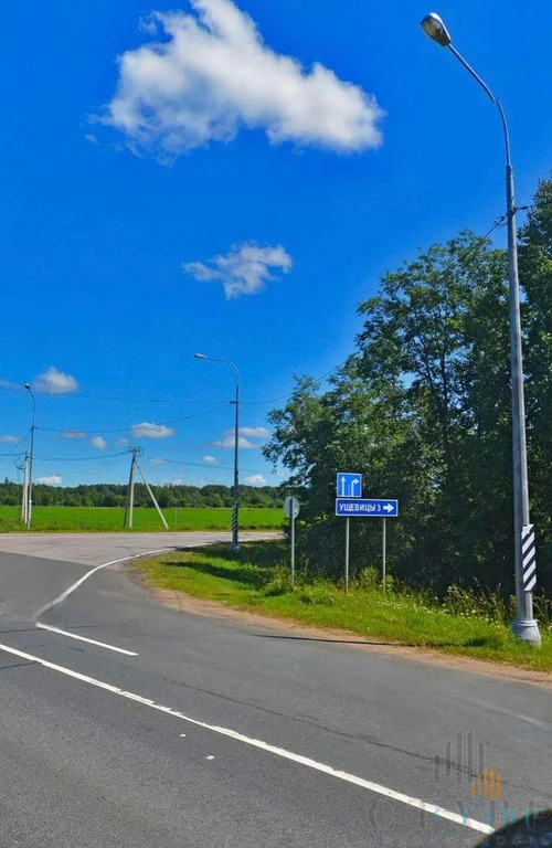 Продажа участка, Большие Озертицы, Волосовский район, деревня Большие ... - Фото 12