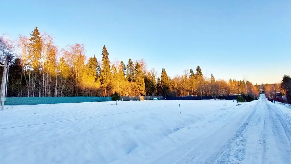 Дом с земельном участком в КП Дюна, на опушке леса - Фото 14