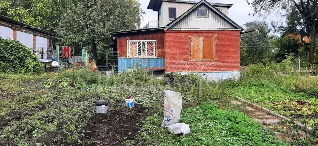 с т дружба 2