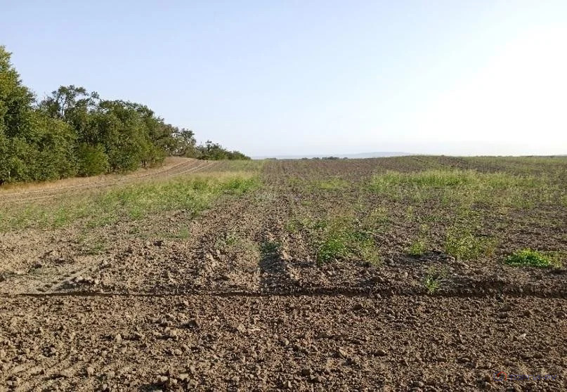 Продажа участка, Николаевская, Наурский район - Фото 4