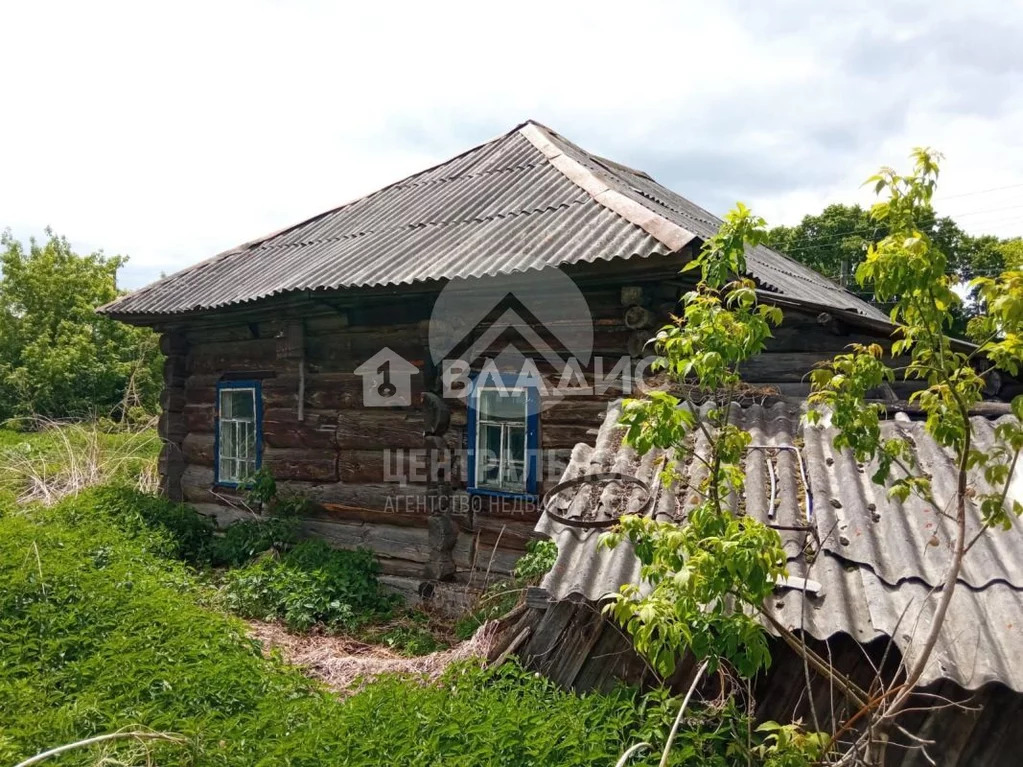Тогучинский район, деревня Долгово, Центральная улица, дом на продажу - Фото 4