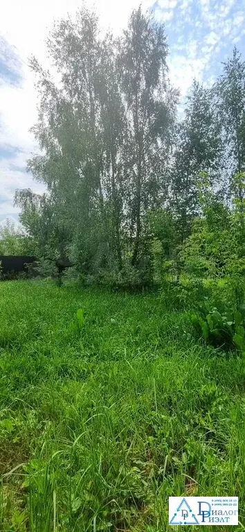 Участок 10,9 сот. (ИЖС) - Фото 5