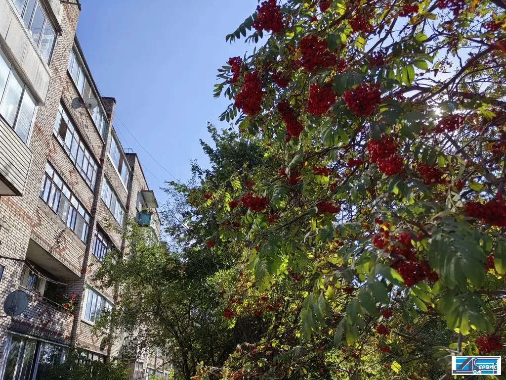 продается 3-х комнатная квартира - Фото 26