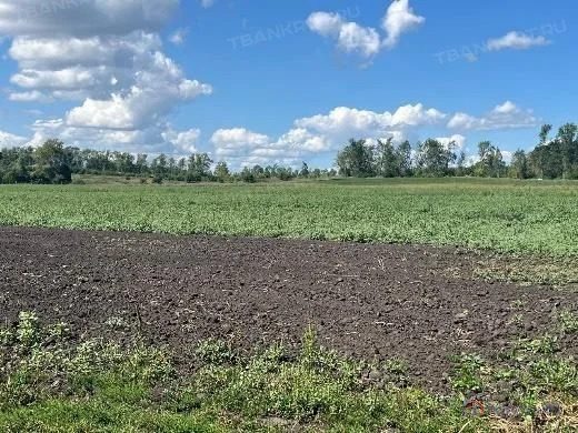 Продажа участка, Симбухово, Мокшанский район, ул. Школьная - Фото 16