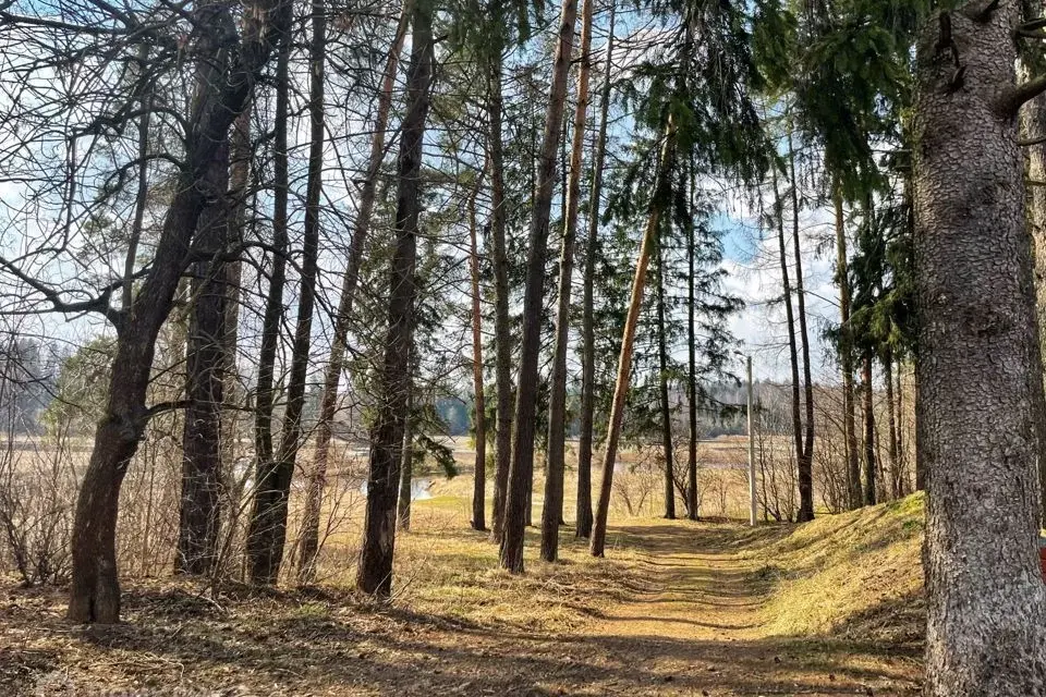 д. Мелeнки, земeльный участoк 6 сoтoк ЛПХ. - Фото 16