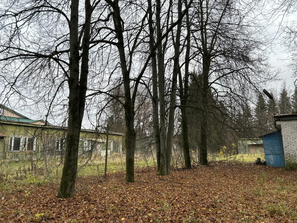 Имущественный комплекс в составе базы отдыха «Ильинское» - Фото 5