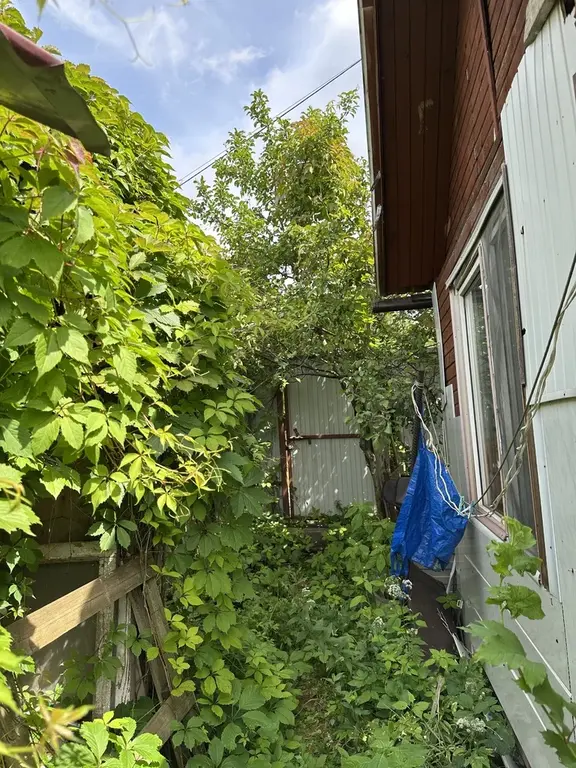 Участок 6 соток дер. Грибки го Мытищи ровный, огорожен забором - Фото 12