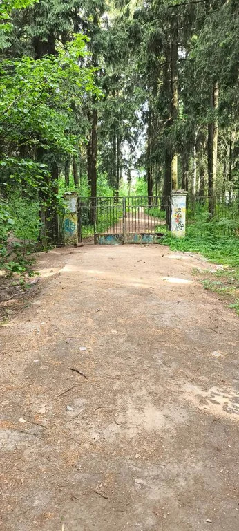 Продается ПСН 6000 м2 - Фото 3