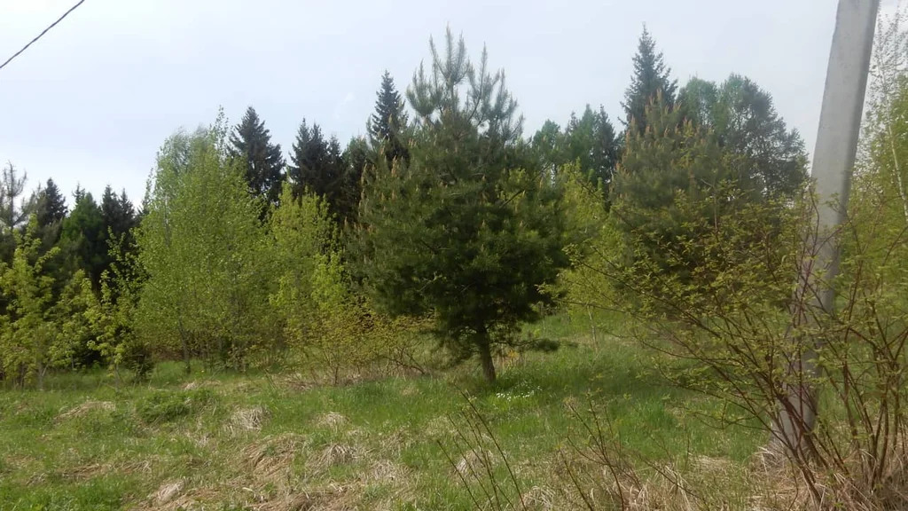 Продажа участка, Батюшково, Дмитровский район - Фото 9