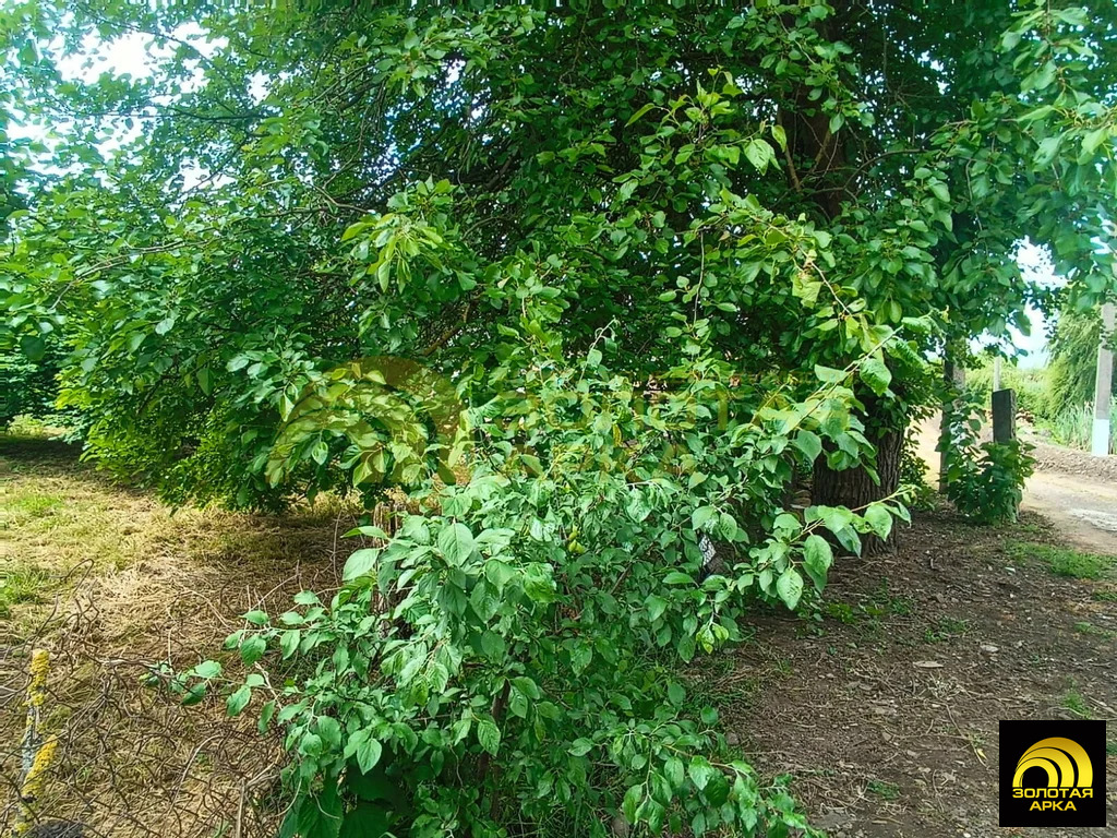 Продажа дома, Мингрельская, Абинский район, ул. Литвинова - Фото 17