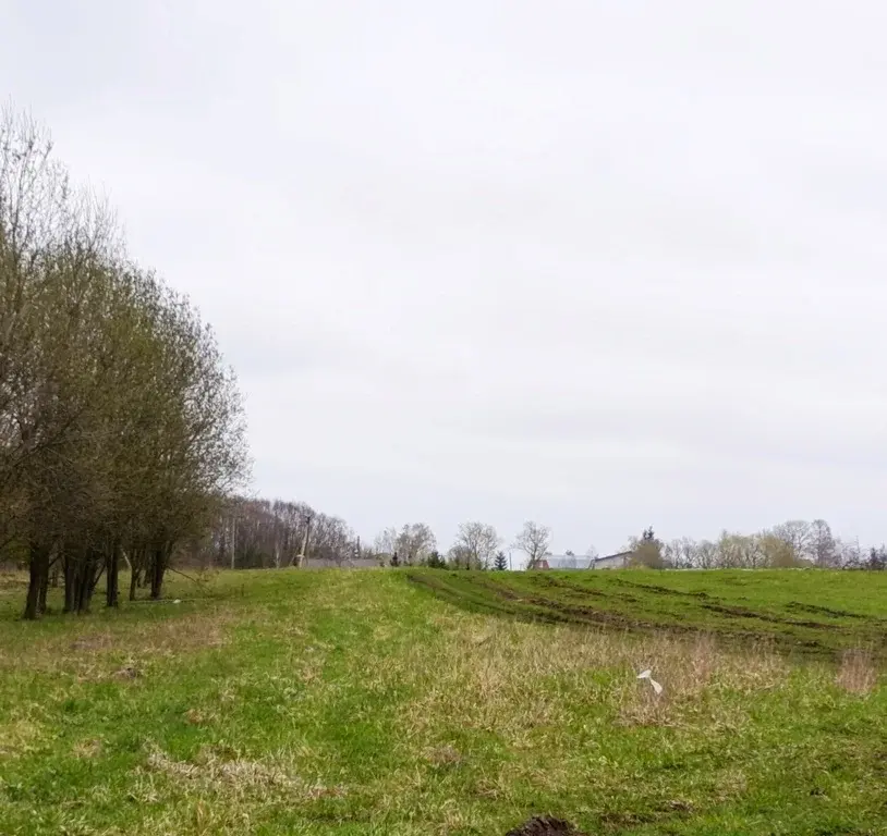 Продам участок 166с сельхоз/назначения - Фото 3