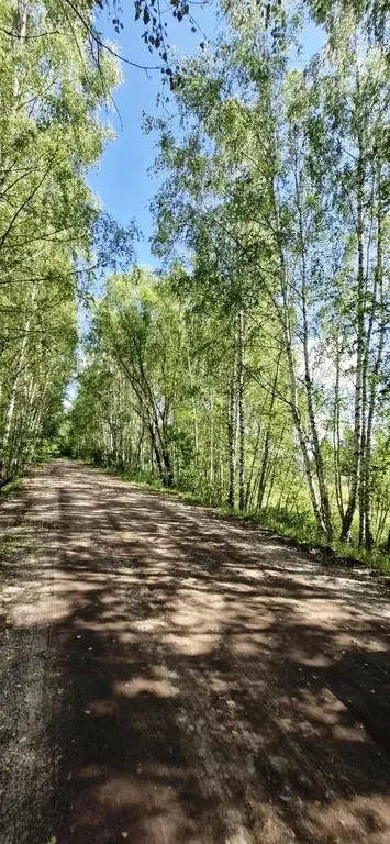 Участок в деревне Соколово - Фото 1