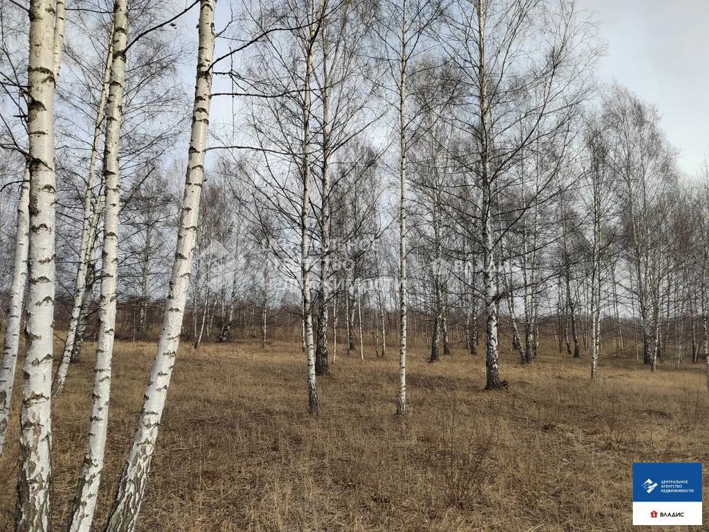Продажа участка, Рязанский район - Фото 9