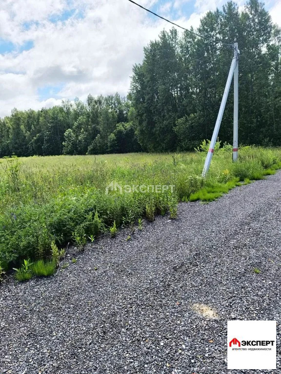 земельный участок, мкр. Трубицыно - Фото 3