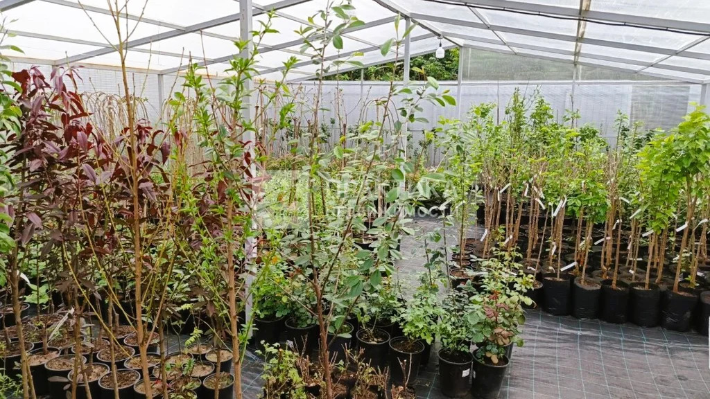 Продажа ПСН, Балашиха, Балашиха г. о., Щелковское ш. - Фото 22