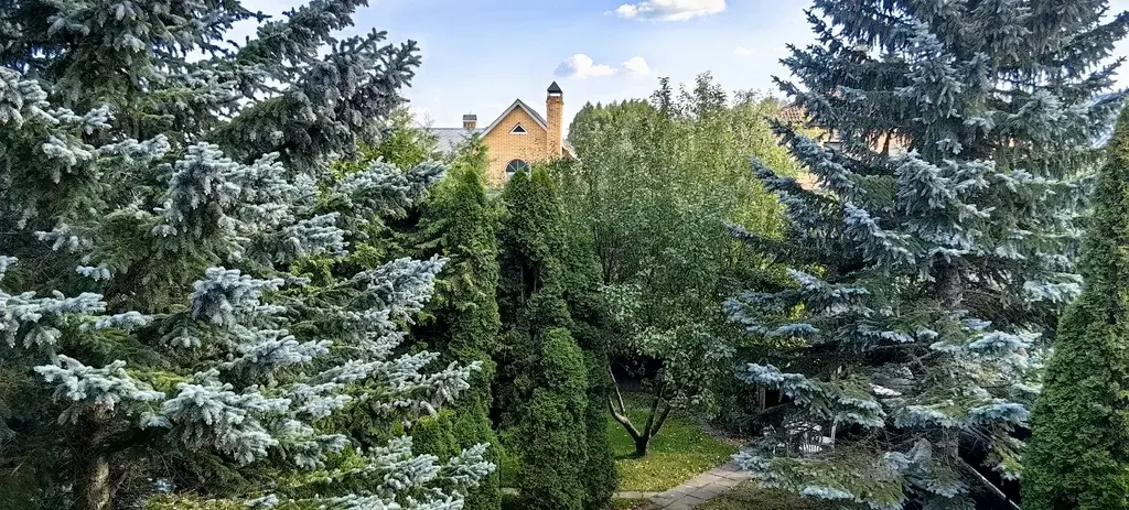 Дом. СНТ Мещерино-Чурилково, ул.Лесная , д.42 - Фото 28