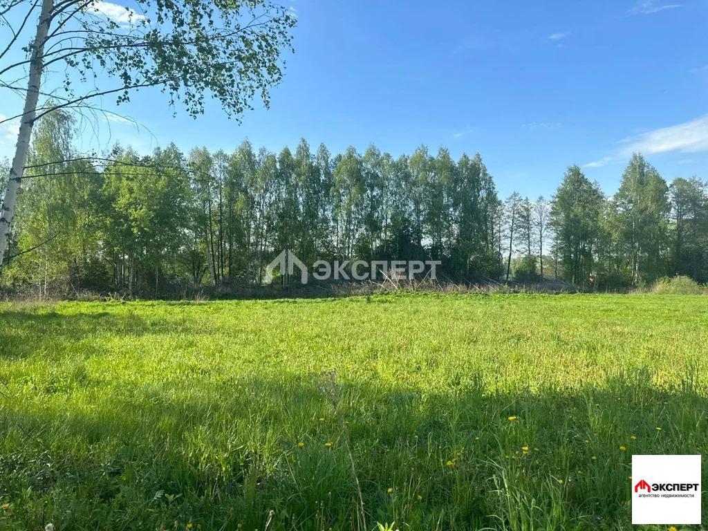 Участок, п. Елизаветино - Фото 0